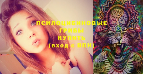 герыч Медногорск