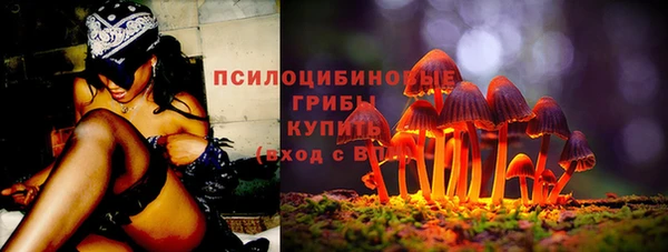 2c-b Мегион