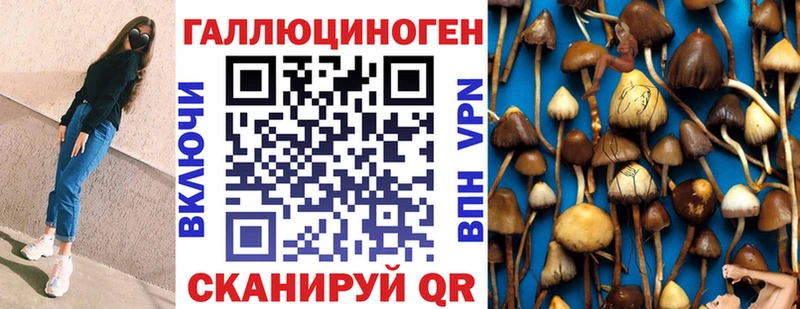 Купить где  Бологое  Галлюциногенные грибы мицелий 